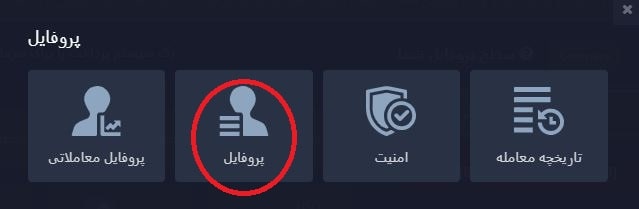 پروفایل در پاکت آپشن